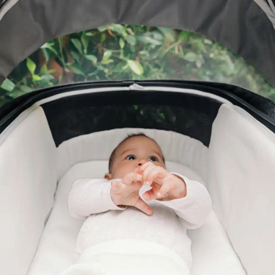 240902_VistaV3_CampaignLP_Bassinet